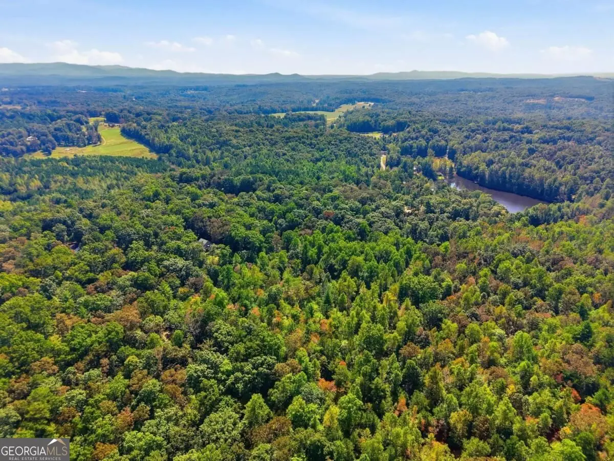 0 A-1 Fern Gully Way, Ellijay, GA 30540 - #1