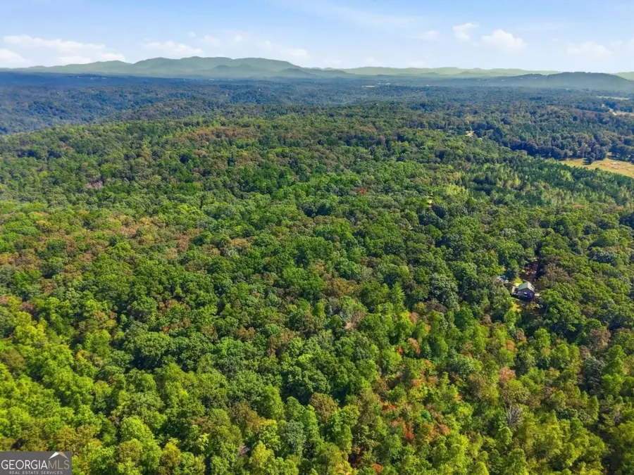 0 A-2 Fern Gully Way, Ellijay, GA 30540 - #2
