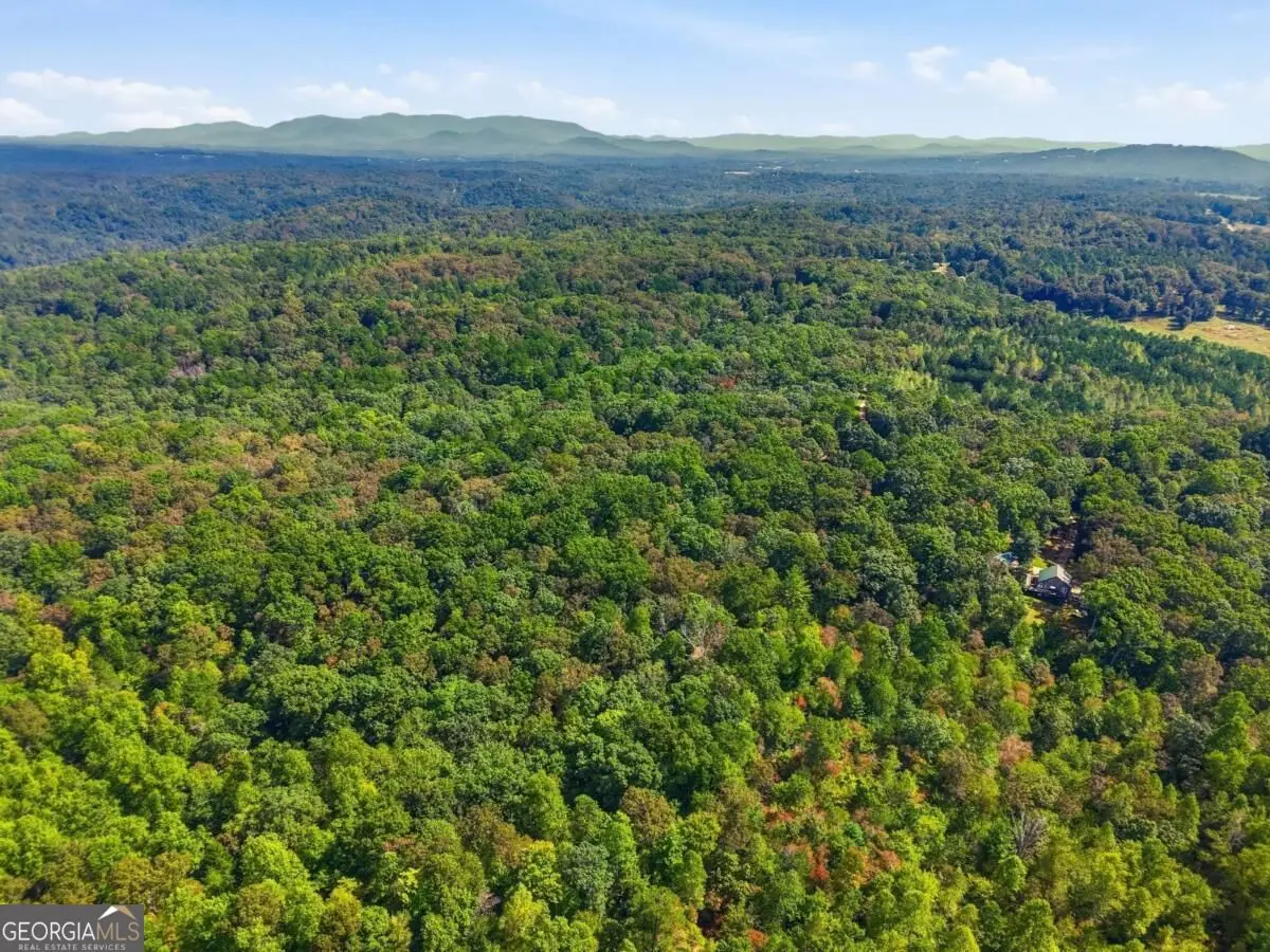 0 B-1 Fern Gully Way, Ellijay, GA 30540 - #1