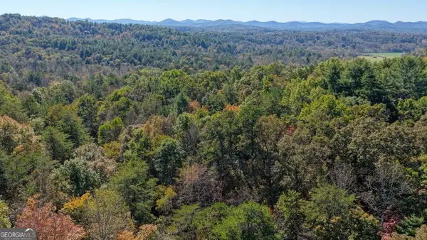 3 AC Alicia Lane, Blairsville, GA 30512