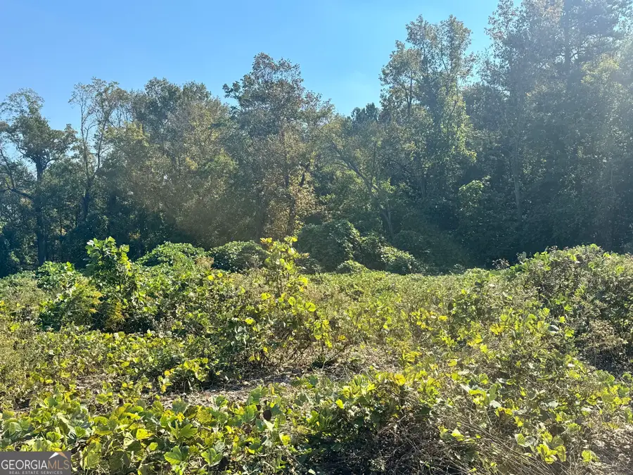981 Gainesville Highway, Buford, GA 30518 - #3