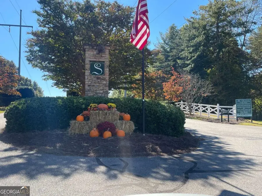 LOT 106 Red Maple Lane, Blairsville, GA 30512 - #3
