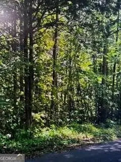0 Etchison Spur, Loganville, GA 30052