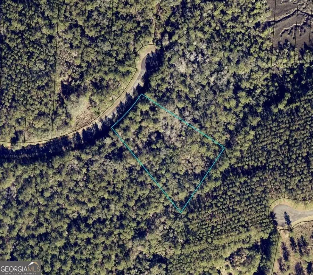 LOT 86 La Sole Lane, Waverly, GA 31565 - #1
