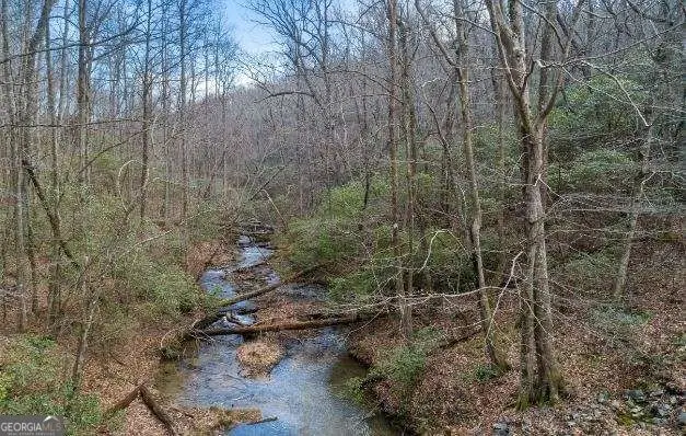 232 Andes Ridge, Ellijay, GA 30540 - #2