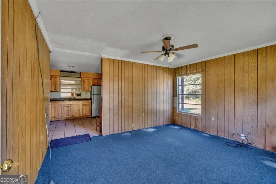 742 Cary Road, Cochran, GA 31014 - #3