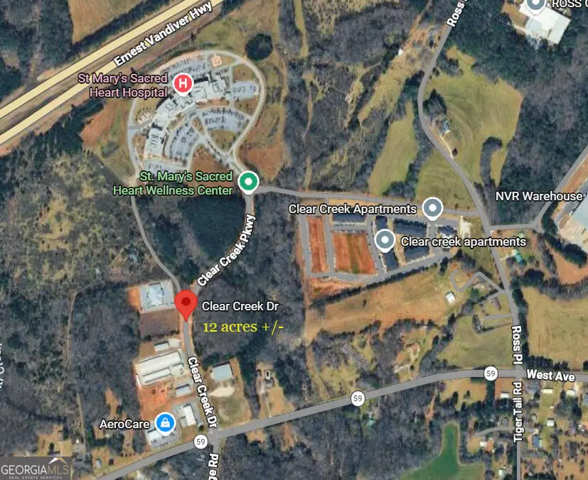 EAST SIDE N Clear Creek Drive, Lavonia, GA 30553 - #1