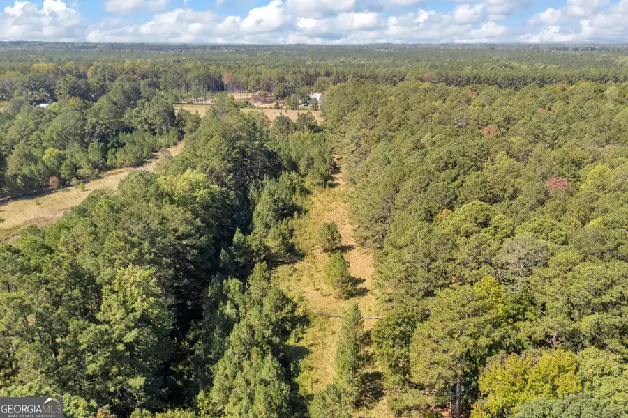 0 Ham Fork Road, Union Point, GA 30669 - #2