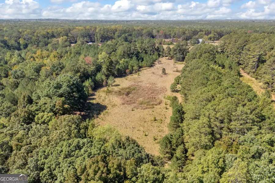 0 Ham Fork Road, Union Point, GA 30669 - #3