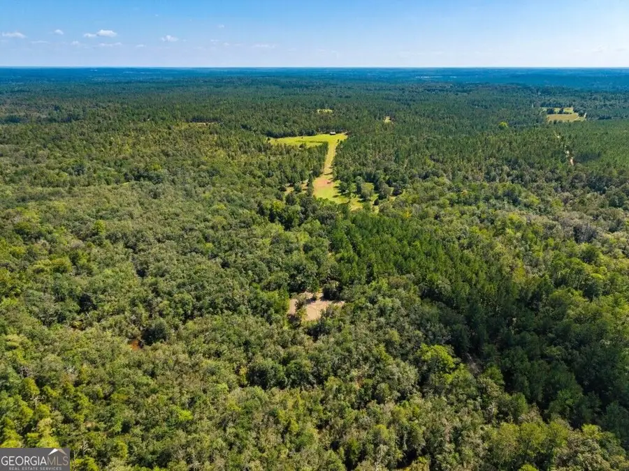 257 Carpenter Road, Rupert, GA 31081 - #2