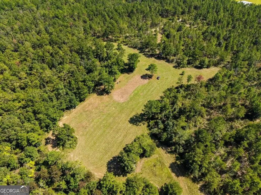 257 Carpenter Road, Rupert, GA 31081 - #3