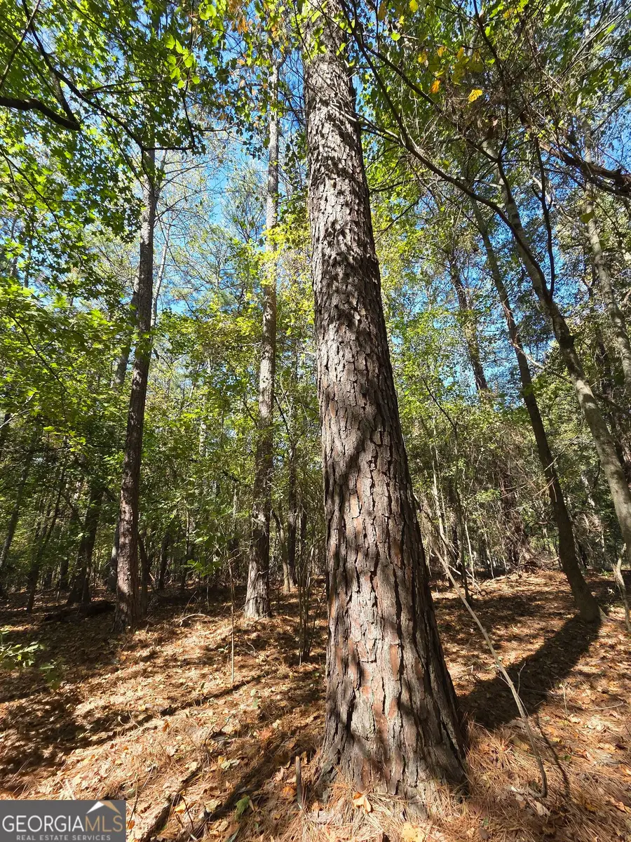 0 Primrose Circle, Greenville, GA 30222 - #3