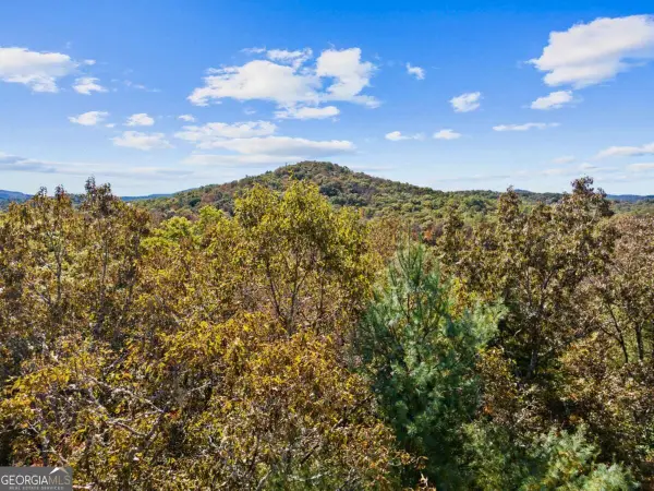 LT 12 Hillbilly Holler, Blue Ridge, GA 30513