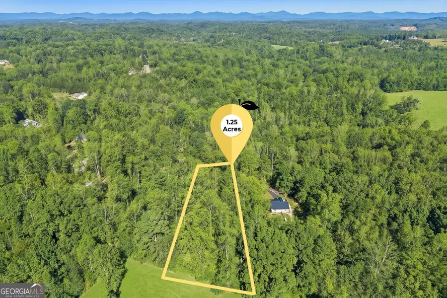 674 Gold Ridge Road, Dahlonega, GA 30533 - #3