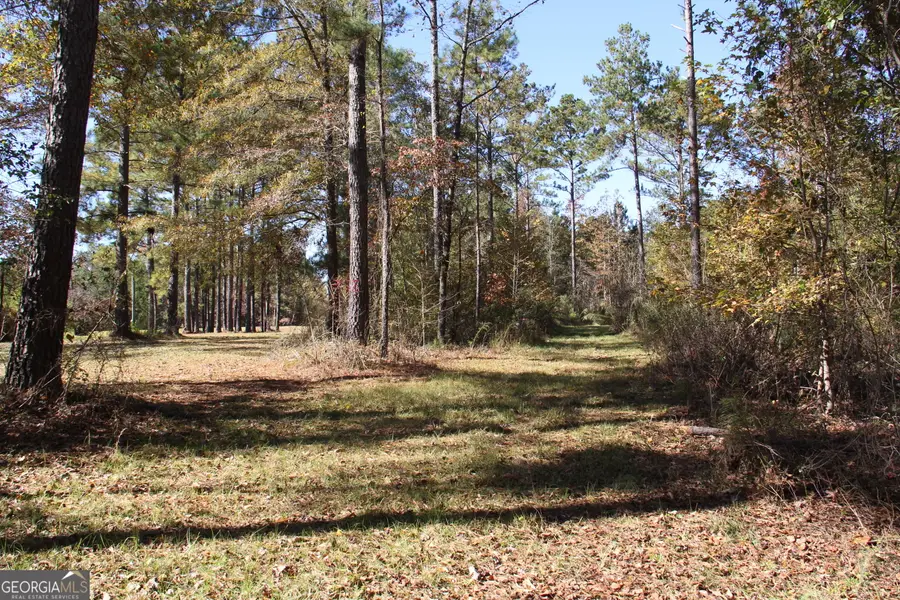 504 Jenkins Road, Forsyth, GA 31029 - #3