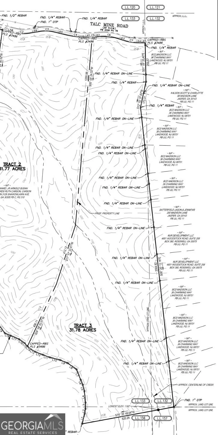 TRACT3 Talc Mine Road, Jasper, GA 30143 - #1