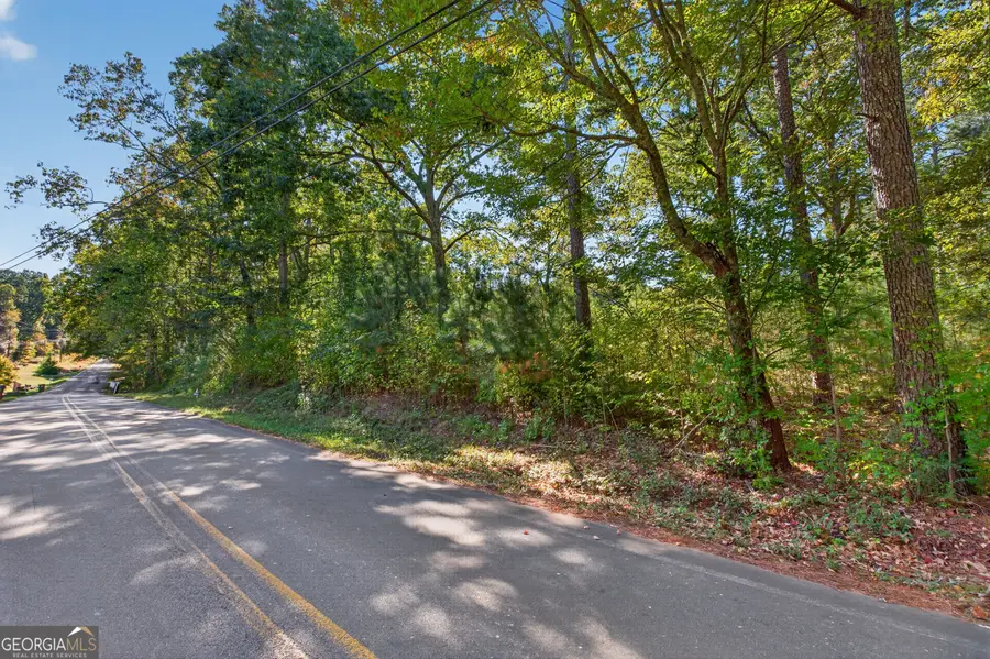 447 Fairview Road #E12, Ball Ground, GA 30107 - #3