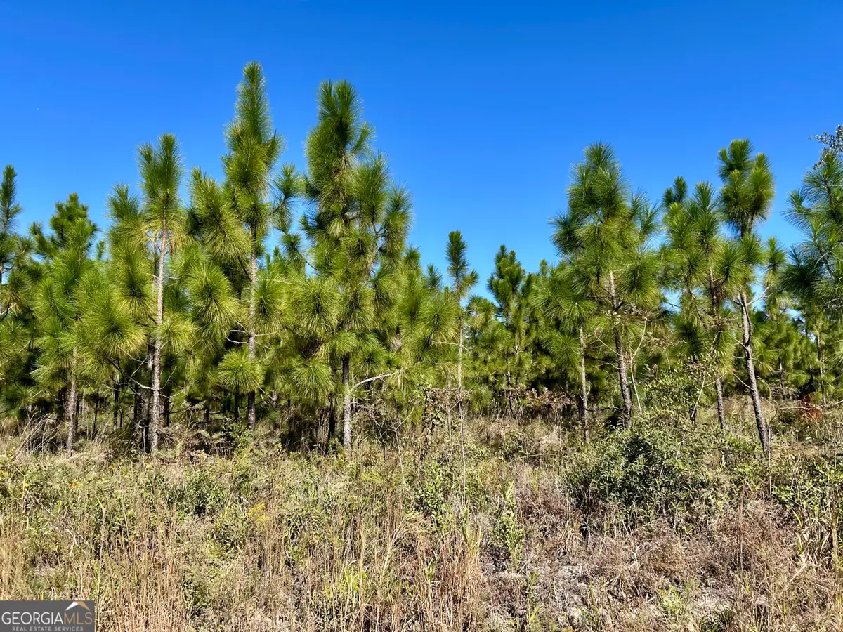 141 ACRES Hwy 121, Reidsville, GA 30453 - #1