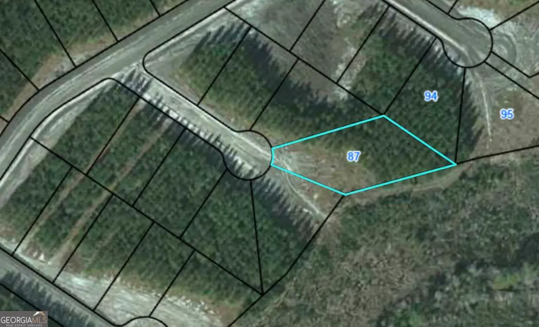 87 Eagles Crest, Waynesville, GA 31566 - #1