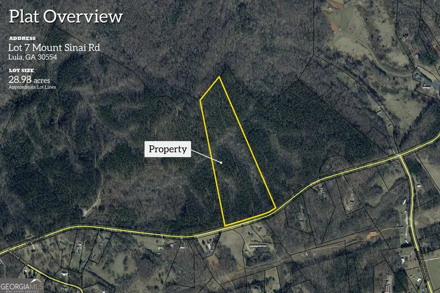 0 Mt. Sinai #LOT 7, Lula, GA 30554 - #2