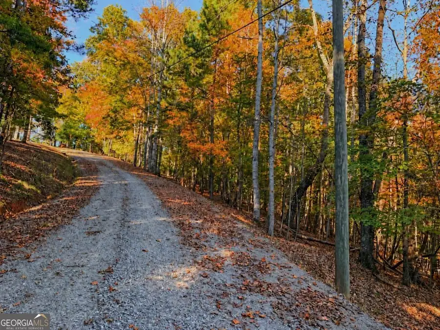 LOT 3118 Opal Lane #00, Ellijay, GA 30536 - #2