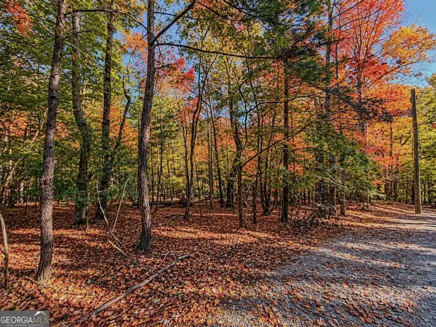 LOT 3118 Opal Lane #00, Ellijay, GA 30536 - #3