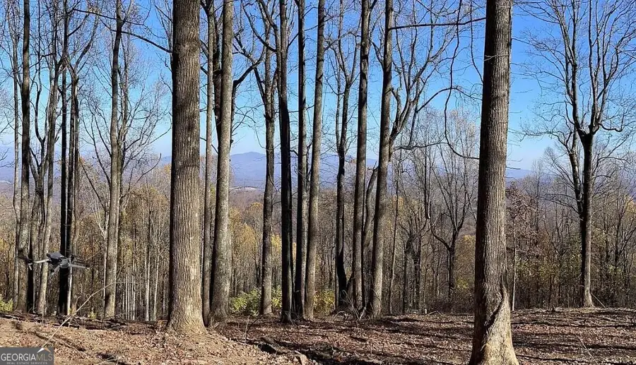 0 Andes Ridge, Jasper, GA 30143 - #2