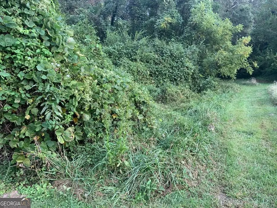 0 Prather Bridge Rd, Toccoa, GA 30577 - #1