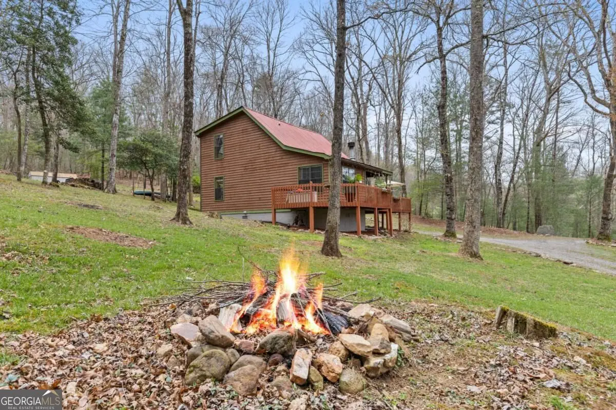 541 Black Ankle Creek Road, Cherry Log, GA 30522 - #1
