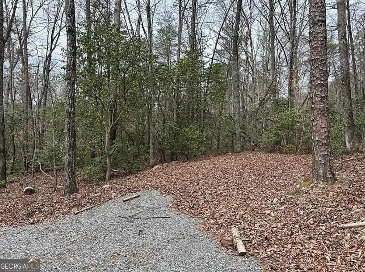0 Roy Road, Ellijay, GA 30536 - #1