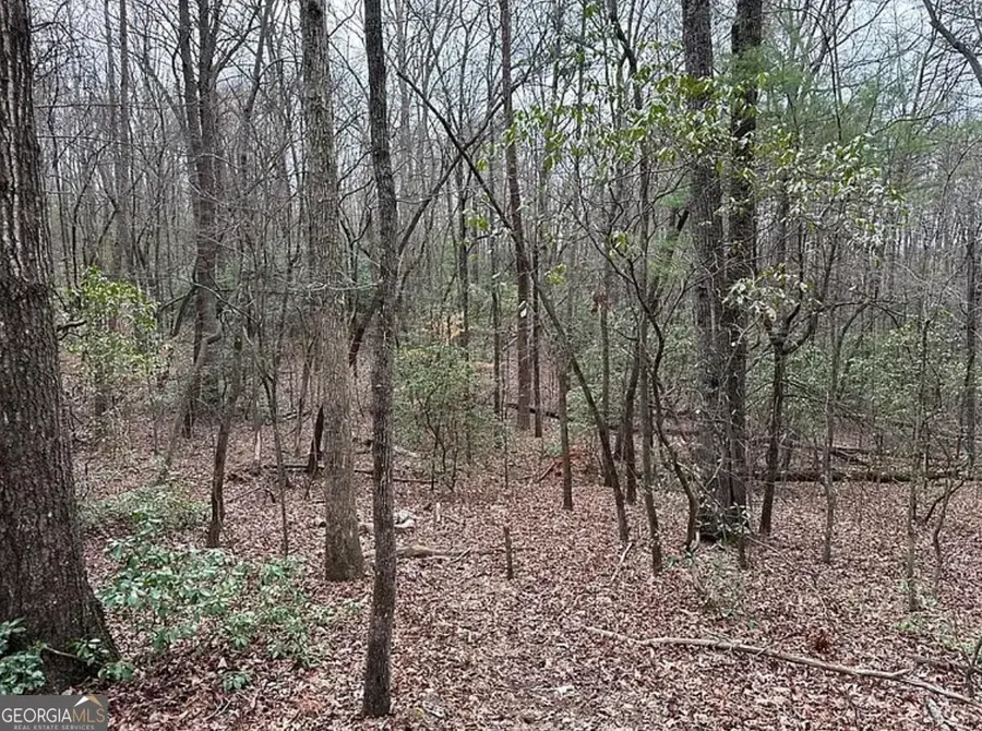 0 Roy Road, Ellijay, GA 30536 - #3