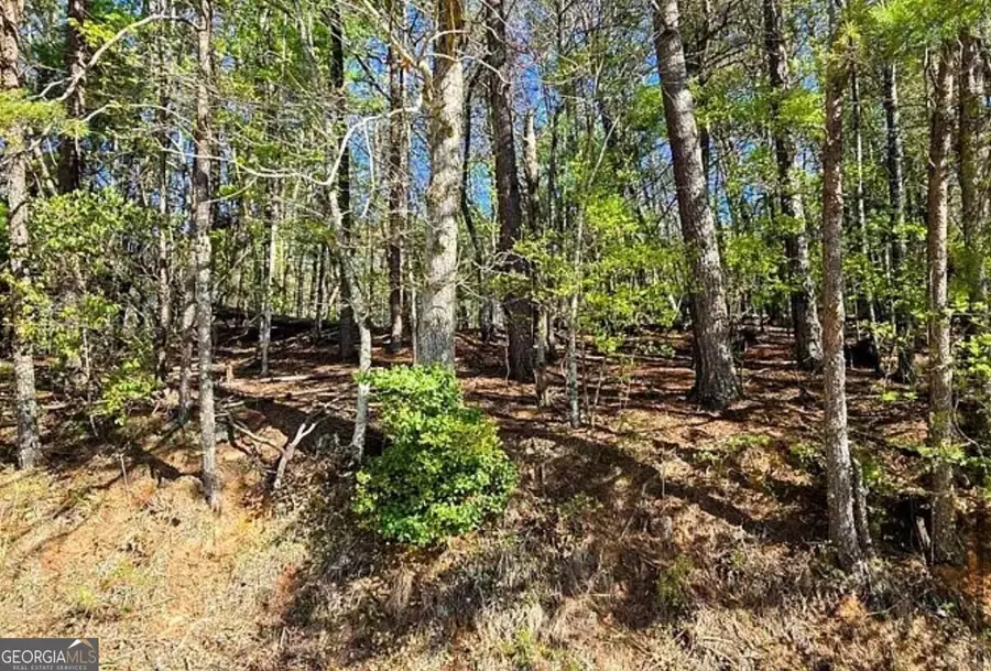 0 Goldmine Drive, Ellijay, GA 30536 - #2