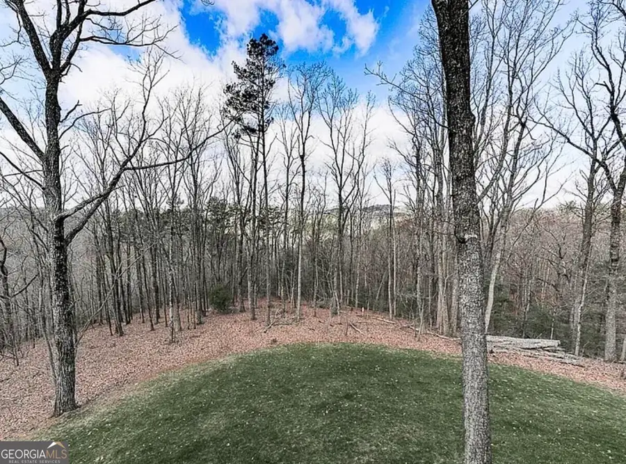 0 Weeks Drive, Ellijay, GA 30540 - #2