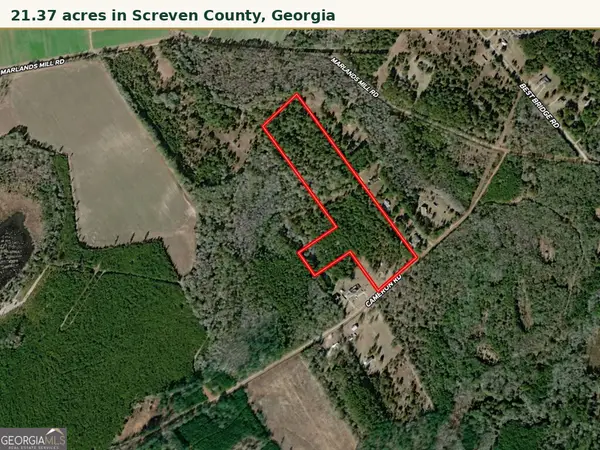 0 Cameron Road, Sylvania, GA 30467