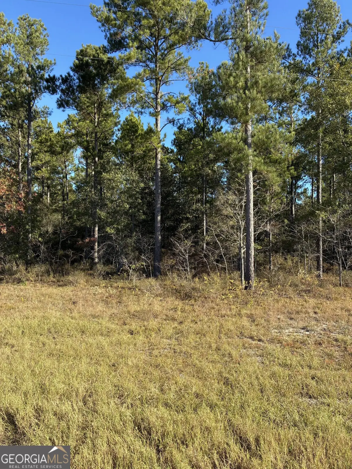 0 Hwy 46, Twin City, GA 30401 - #1