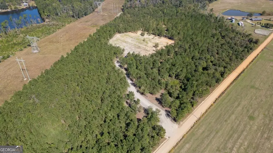 54 Dewey Crosby Road, Hazlehurst, GA 31539 - #2