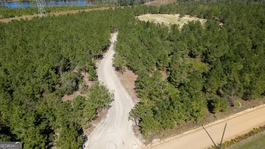 54 Dewey Crosby Road, Hazlehurst, GA 31539 - #3