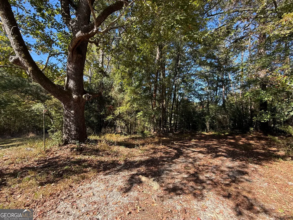 0 Tingle Road, Lagrange, GA 30240 - #1