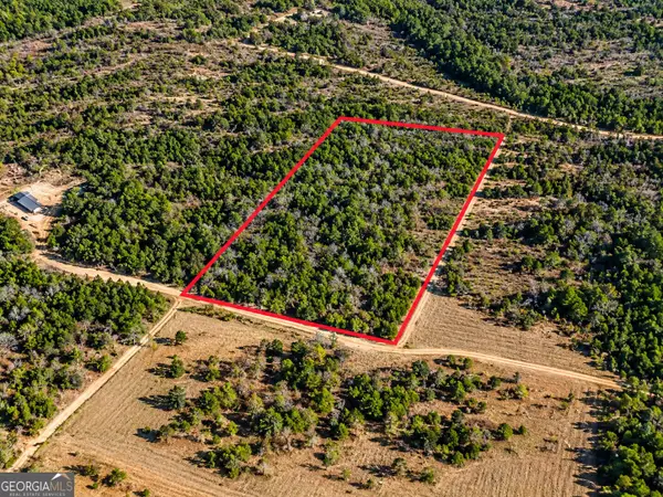 0 Black Creek Tr, Mauk, GA 31058