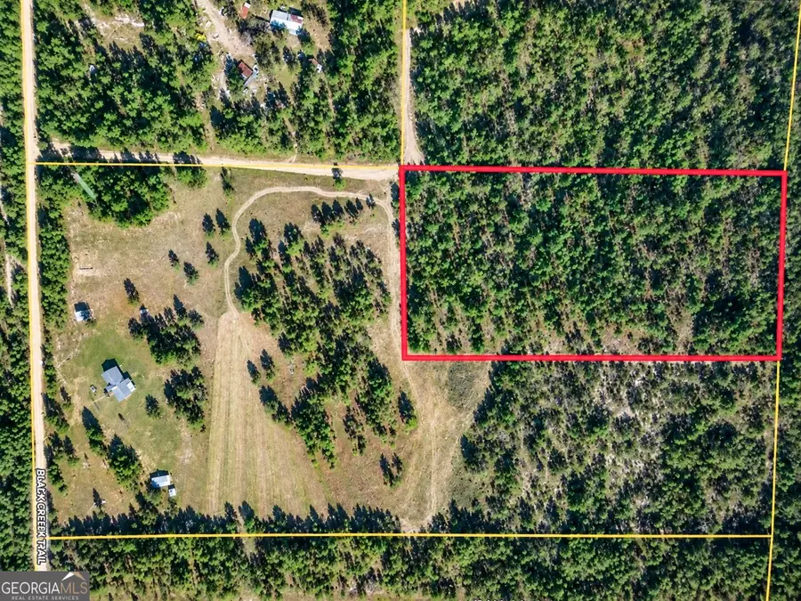 0 Black Creek Tr, Mauk, GA 31058 - #3