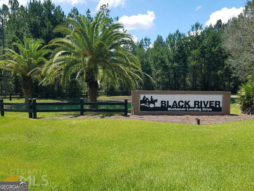 173 Lake Deborah Drive, Folkston, GA 31537 - #1