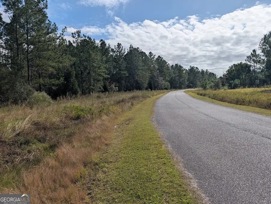 173 Lake Deborah Drive, Folkston, GA 31537 - #3
