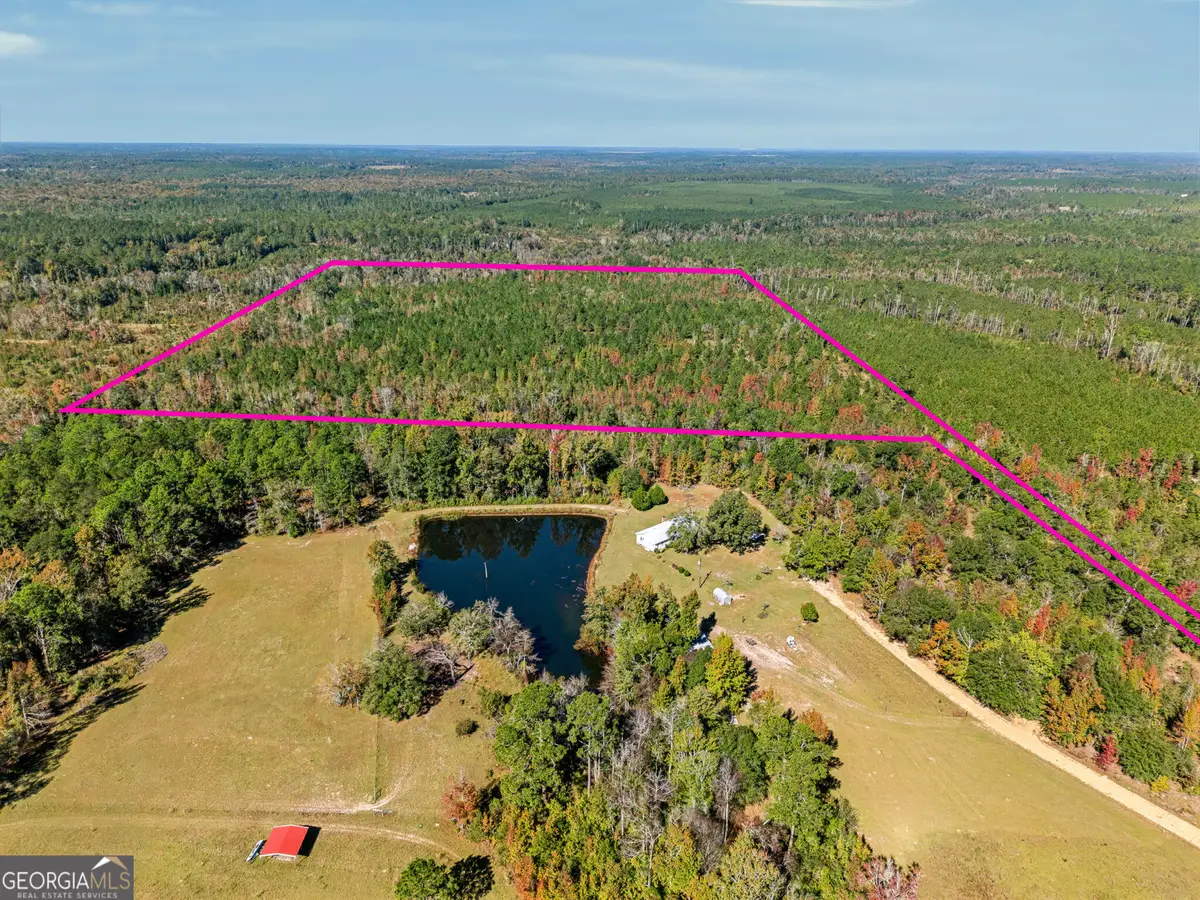 347 Meeks Cemetery Road, Kite, GA 31049 - #1