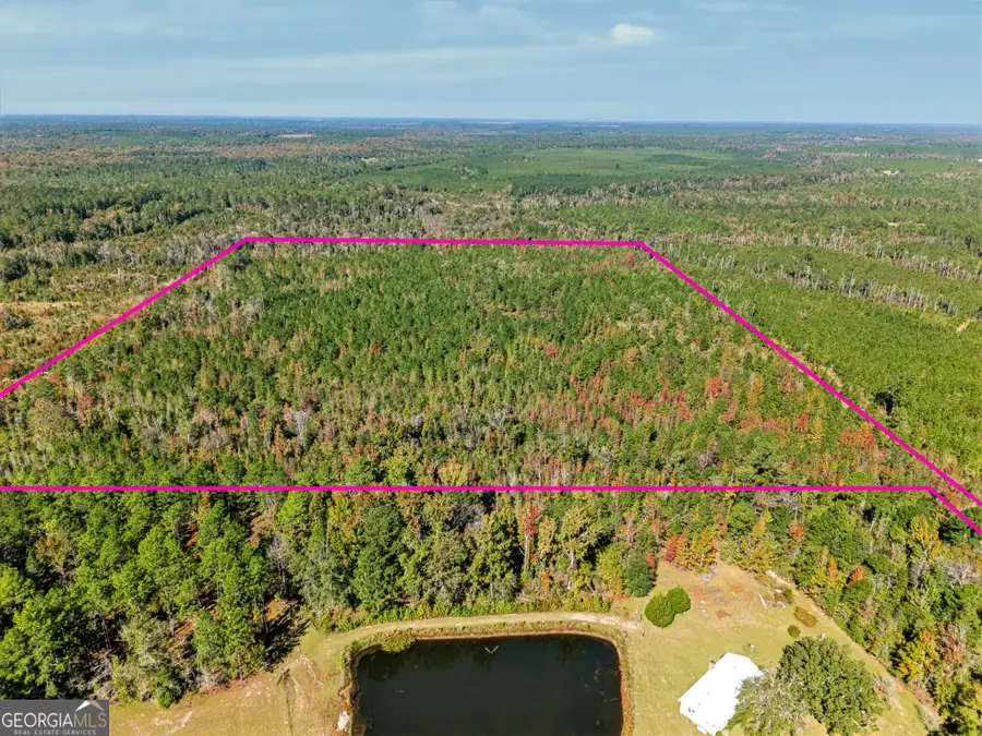 347 Meeks Cemetery Road, Kite, GA 31049 - #2