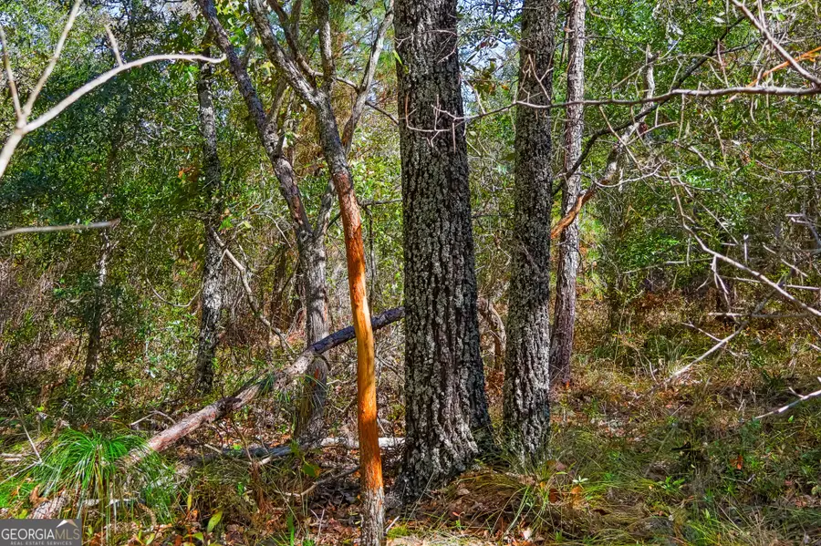 347 Meeks Cemetery Road, Kite, GA 31049 - #3
