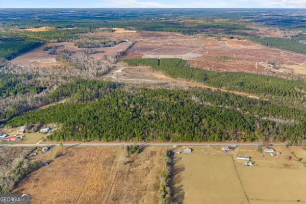 0 Quick Rd (21 Acres), Swainsboro, GA 30401