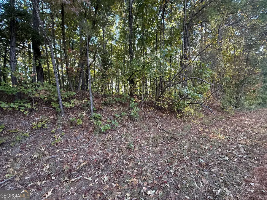 0 Waterview Drive, Lagrange, GA 30240 - #2