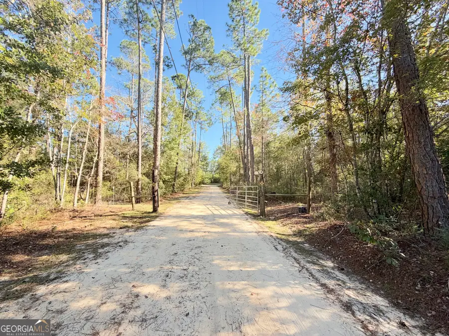 699 Pat Dixon Road, Hazlehurst, GA 31539 - #3