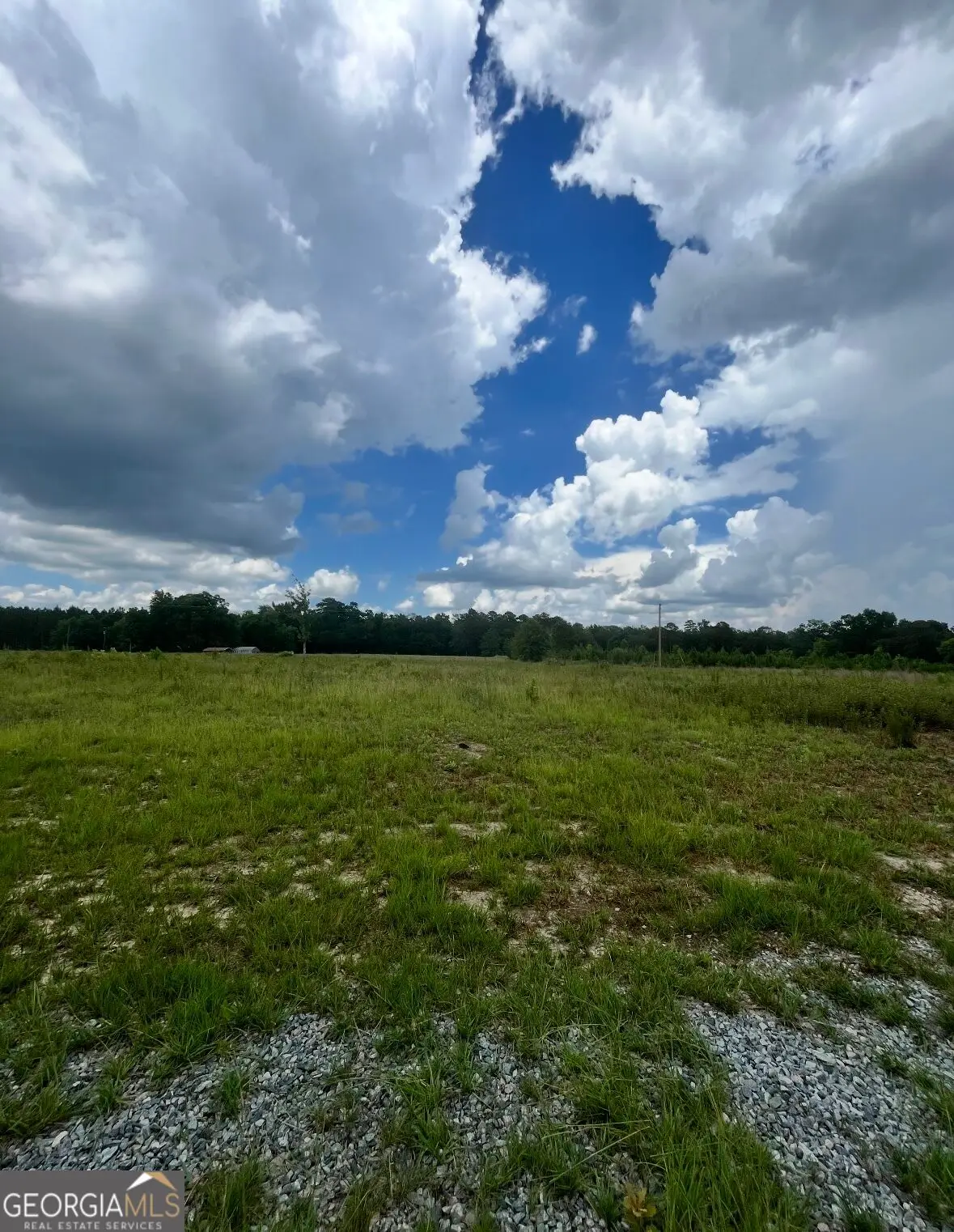 221 Pace Road, Cochran, GA 31014 - #1