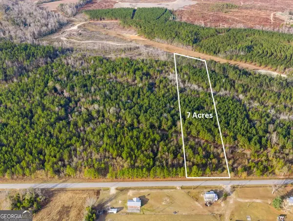 0 Quick Road (7 Acres), Swainsboro, GA 30401